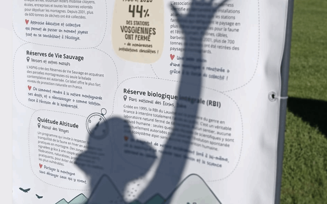 Un loupé bien comme il faut…